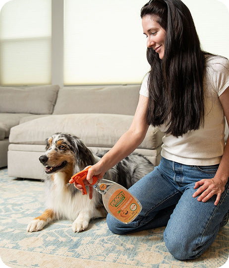 Pet Messes, No Stress: Safe Cleaning Solutions for Pet Owners
